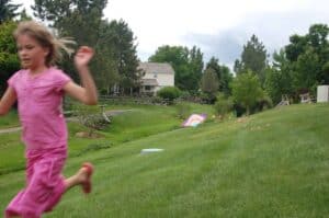 2009 06 20_1722 2009 06 20 1722 300x199 Let’s go fly a kite