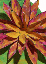 waterlily-craft waterlily craft2 Why Global Lit? Interview with Lucine Kasbarian