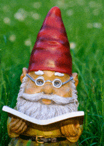 gnome reading Eat Your Math   Tangram Fun and More!