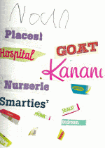 Nouns 150x210 Roots, Shoots and Jane Goodall Books