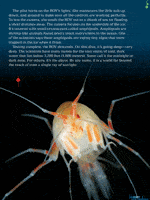 journey-into-the-deep journey into the deep Even More Educational iPad Apps