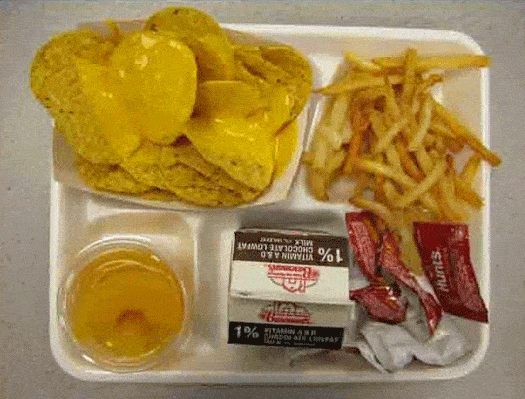 Fed Up With (School) Lunch – The Book