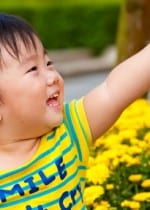 iStock 000015370192XSmall 150x210 New Picture Books Youll Want to Buy   Winter 2012