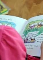 DSC 0008 150x210 An Awesome Resource, Newmark Learnings Early Readers