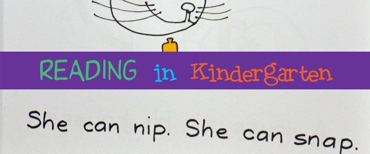 Confessions of a Bad Kindergarten Mom (and Bob Books)