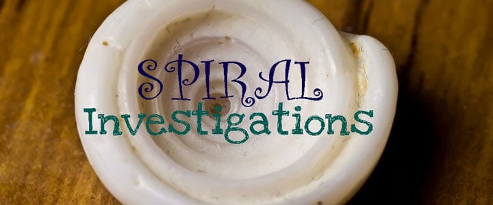 Spiral Investigations in Nature, Books, Art, and Math
