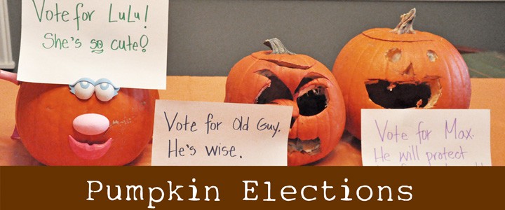 Election Activity with Pumpkins