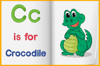 A picture of a crocodile in a book