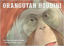 Orangutan Houdini