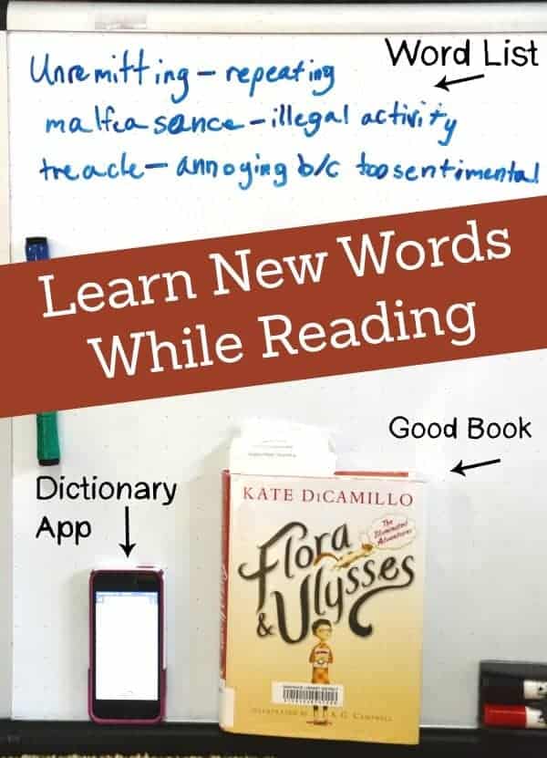how to learn new words while reading