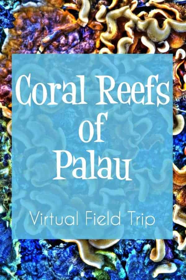 coral reefs of Palau virtual field trip