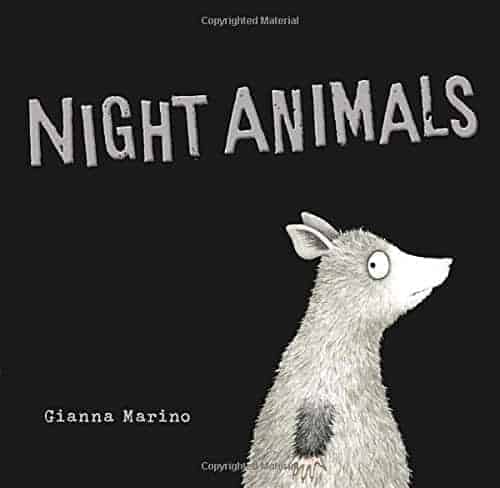 What's in the Dark? Books About Nocturnal Animals