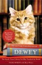 Dewey children's books about cats