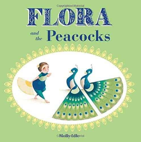 wordless book and activity ideas