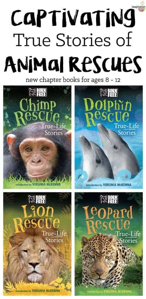 Captivating True Life Stories of Wild Animal Rescues