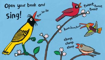 Hooray for Birds! by Lucy Cousins