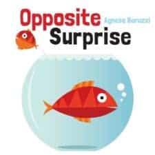 Opposite Surprise 15 Fantastic Board Books for Ages 0 - 3 Years Old (2017)