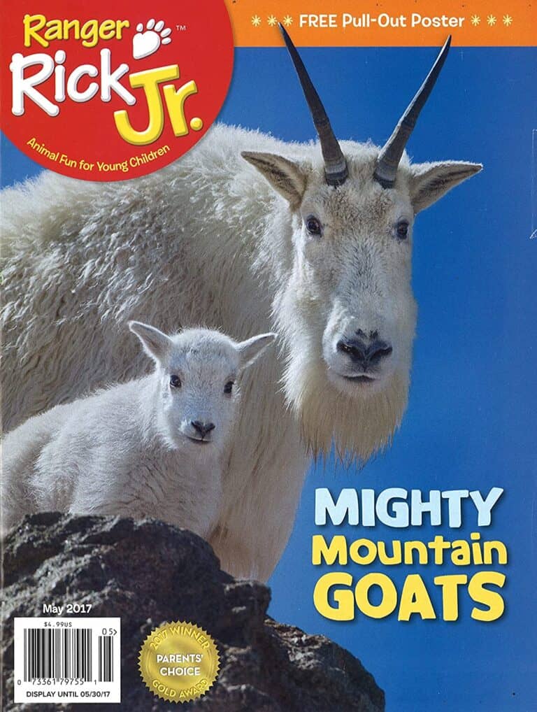 Ranger Jr. Magazine 15 Best Magazines for Kids (That Get Them Reading)