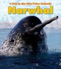 The Best Narwhal Books for Kids