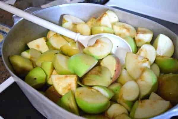 Apple-icious Applesauce Recipe and Children's Apple Books Perfect for Fall