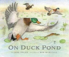 Noteworthy Picture Books from 2017