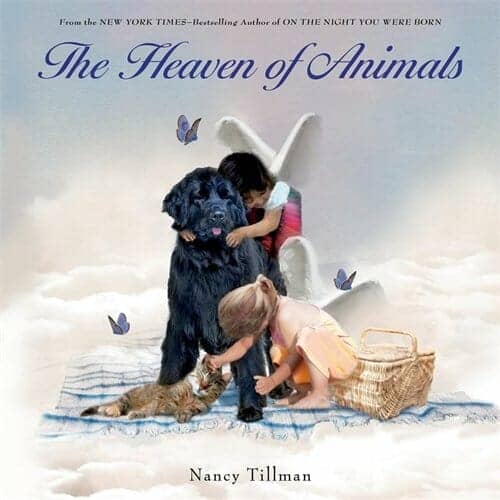 children's books about grief and death