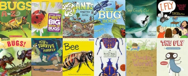 Best Children’s Books About Bugs (Insects)