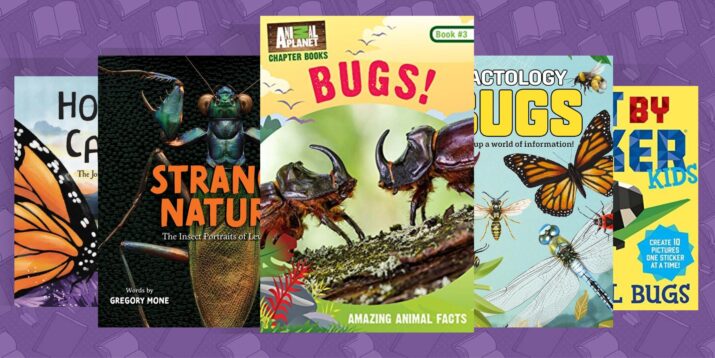 books about bugs and insects