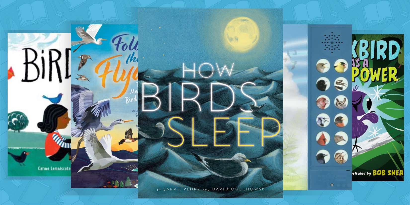 Beautiful Bird Books for Kids (To Spark an Interest in Nature)