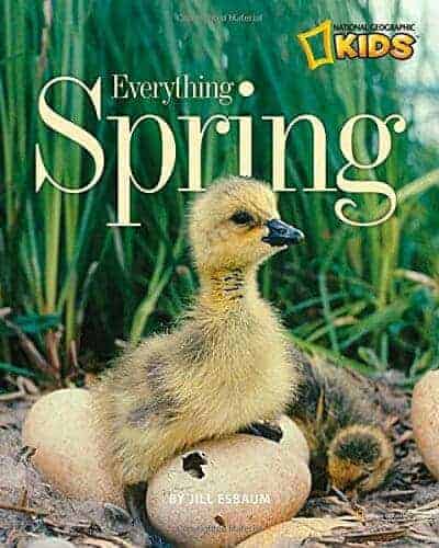 12 Cheerful Children's Books About Spring