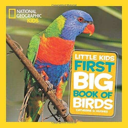 best children's books about birds for kids
