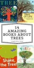 Inspiring, Informative Children's Books About Trees | Imagination Soup