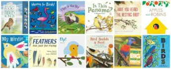 the best children's books about birds