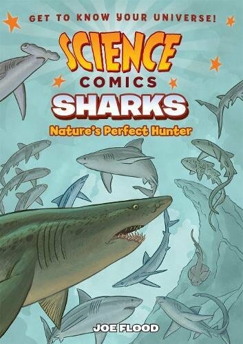The Best Books for Kids to Read During Shark Week 