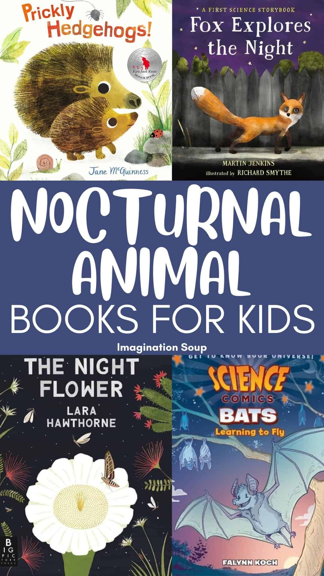 20 Best Books About Nocturnal Animals - Imagination Soup