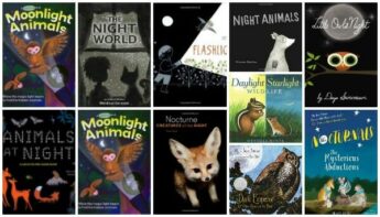 picture books about nocturnal animals