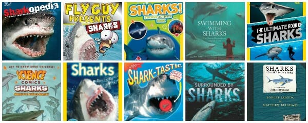 best shark books for kids (for shark week)