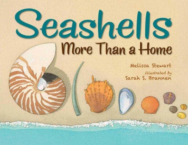 Children's Books About seashells