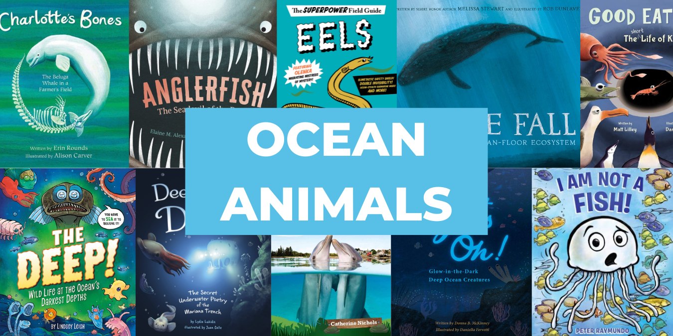 48 Excellent Children’s Books About Ocean Animals