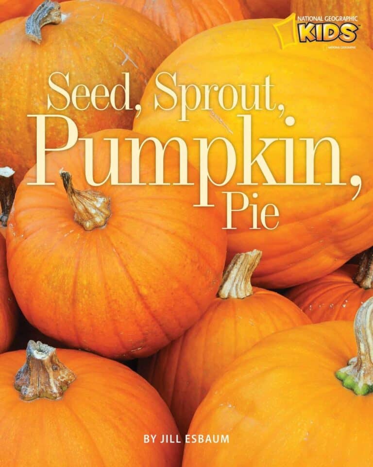 Best Pumpkin Books for Kids - Imagination Soup