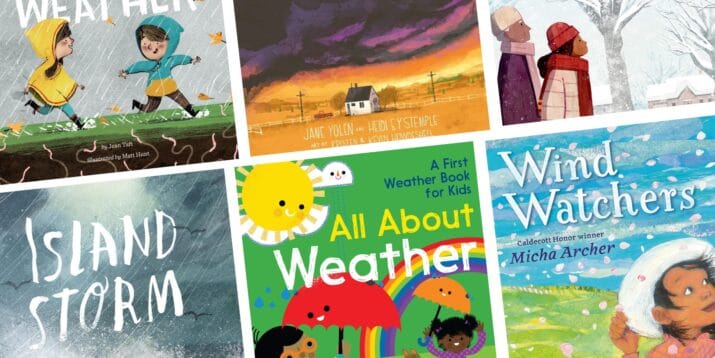 children's book about weather