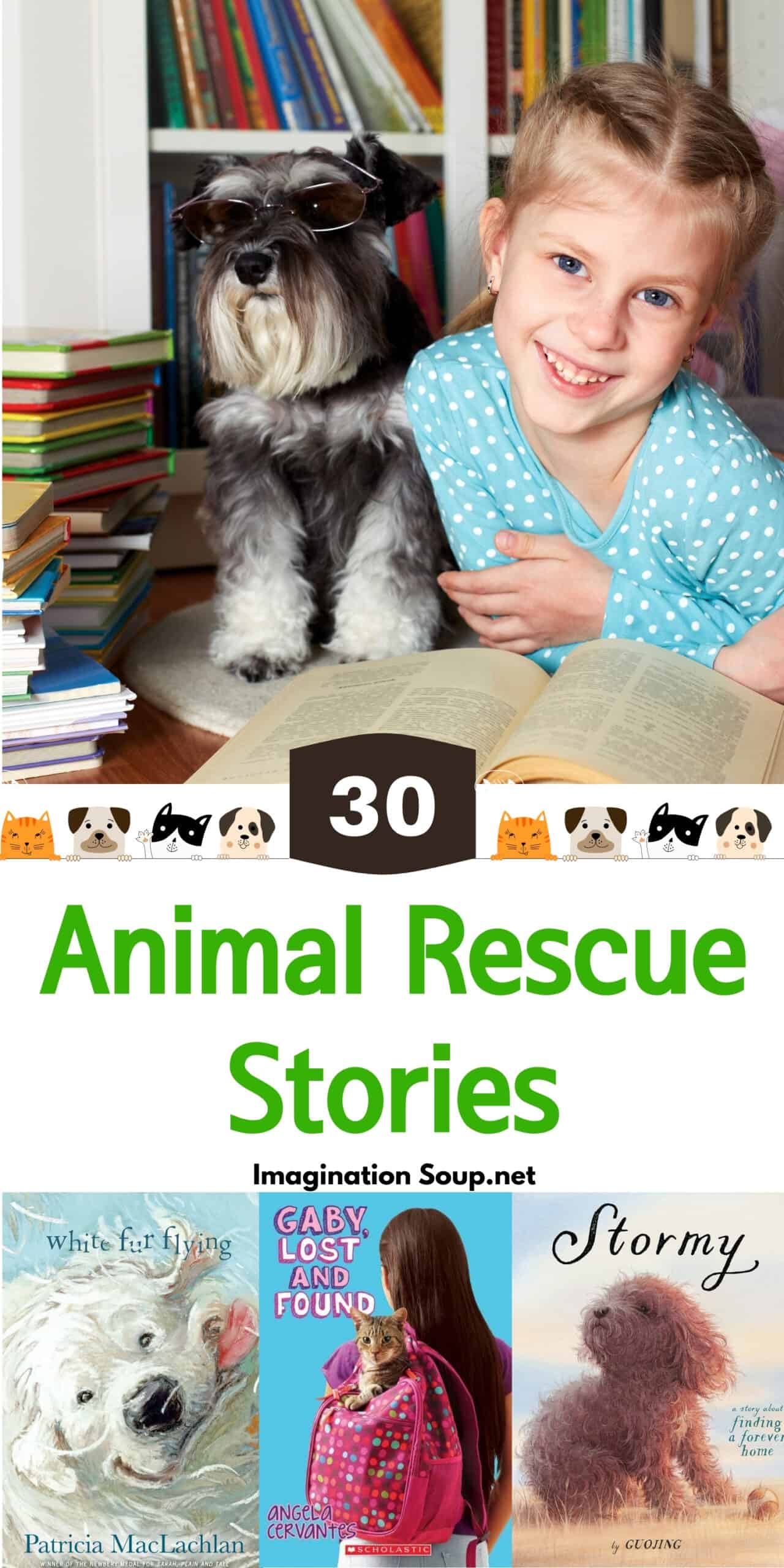 Dog Cat And Other Animal Rescue Stories For Kids Imagination Soup
