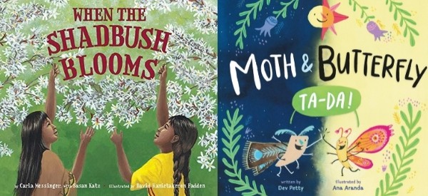 compare and contrast mentor texts
