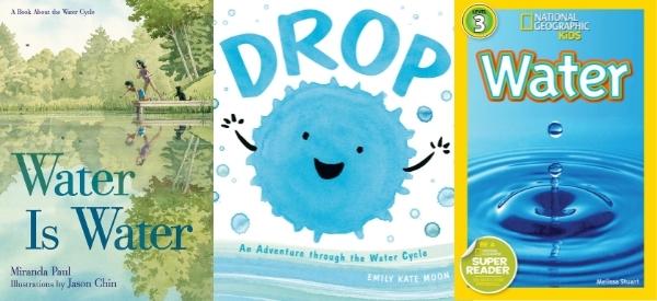 Water Cycle Books for Kids