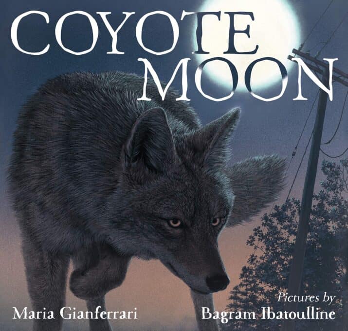 vivid verbs Coyote Moon