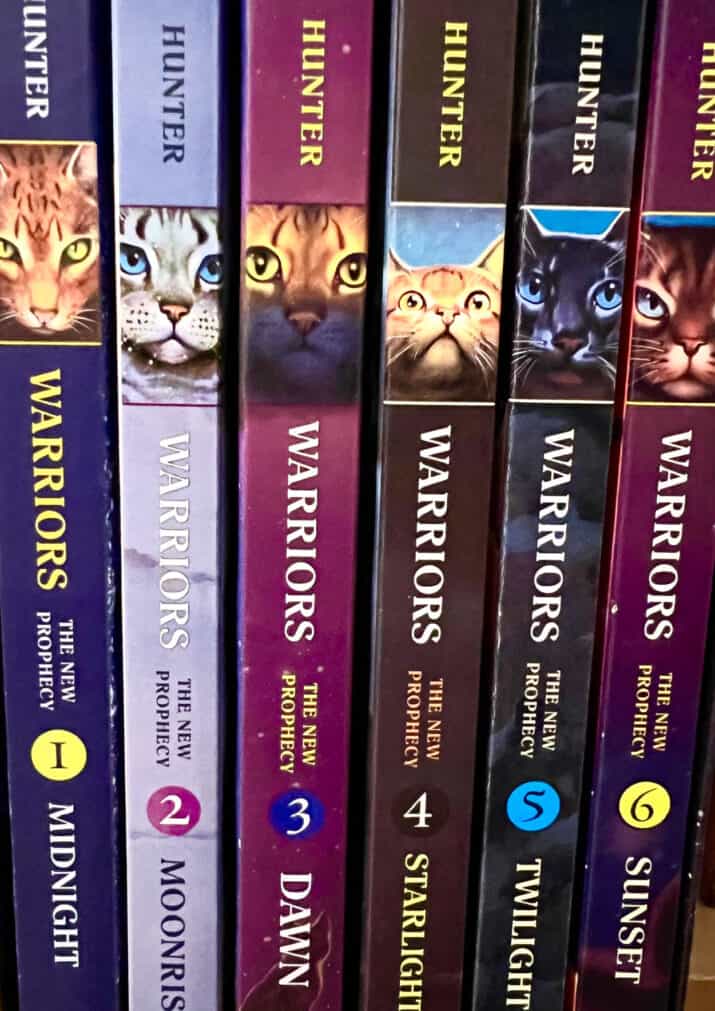 middle grade book series WARRIORS