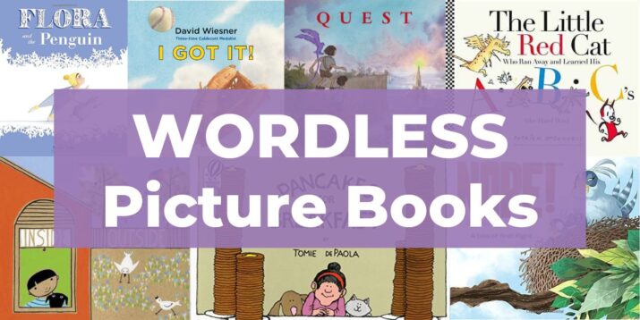 20 best wordless picture books