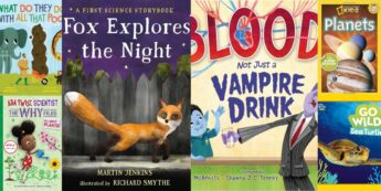 50 Best 2nd Grade Books for Summer Reading