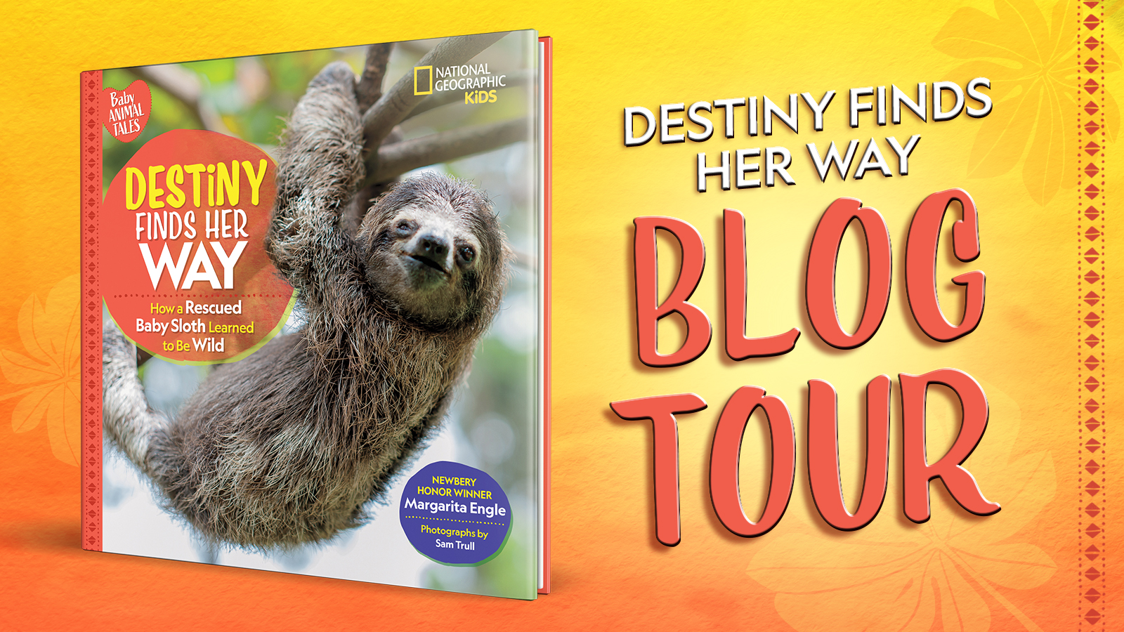 How to Be a Sloth Tourist + Destiny Finds Her Way Giveaway!