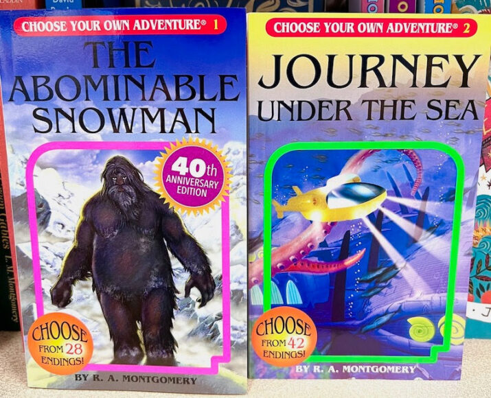 choose your own adventure books for kids